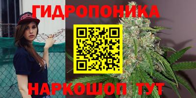 прущие крисы Ликино-Дулёво